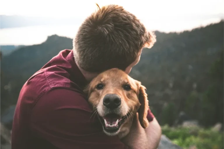 camping-pet-friendly